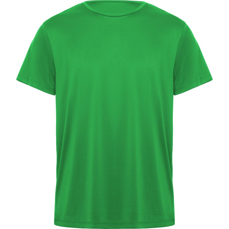 Camiseta Daytona Roly - Verde Helecho